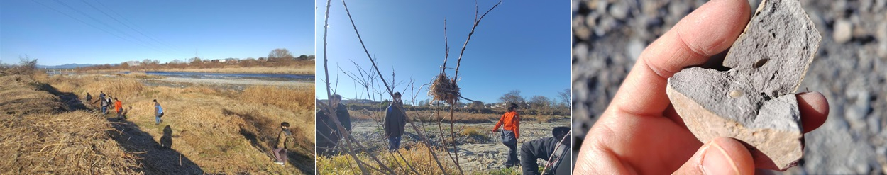 多摩川河川　日野橋付近１